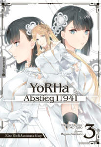 YoRHa - Abstieg 11941 03 - 2875134775