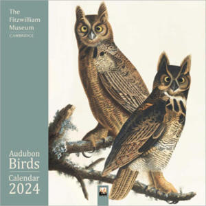 Fitzwilliam Museum: Audubon Birds Wall Calendar 2024 (Art Calendar) - 2876338787