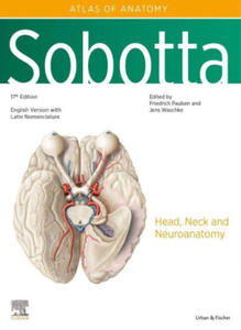 Sobotta Atlas of Anatomy, Vol. 3, 17th ed., English/Latin - 2873997295