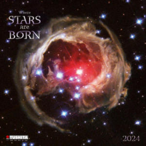 Where Stars are Born 2024 - 2877604987