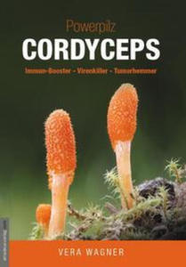 Powerpilz Cordyceps - 2877627967