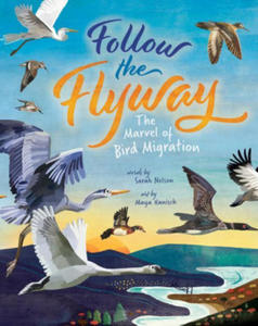 Follow the Flyway: The Marvel of Bird Migration - 2877496234