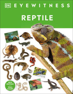 Reptile - 2877182294