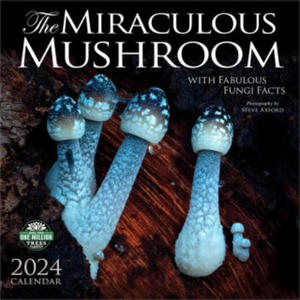 Miraculous Mushroom 2024 Calendar - 2876459841