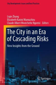 The City in an Era of Cascading Risks - 2875672939