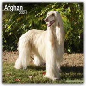 Afghan Calendar 2024 Square Dog Breed Wall Calendar - 16 Month - 2875223792