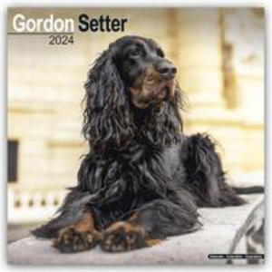 Gordon Setter Calendar 2024 Square Dog Breed Wall Calendar - 16 Month - 2876546527