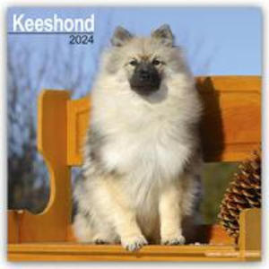 Keeshond Calendar 2024 Square Dog Breed Wall Calendar - 16 Month - 2876227593