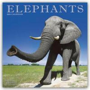 Elephants Calendar 2024 Square Wildlife Safari Wall Calendar - 16 Month - 2875905171