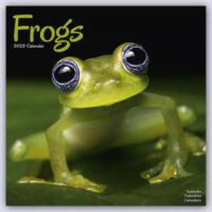 Frogs Calendar 2024 Square Animal Wall Calendar - 16 Month - 2876343280