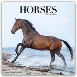 Horses Calendar 2024 Square Horses Wall Calendar - 16 Month - 2875548069