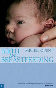 Birth and Breastfeeding - 2878429986