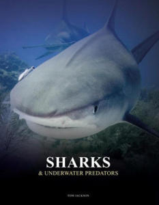 Sharks & Underwater Predators - 2876459756