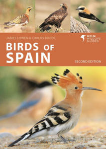 Birds of Spain - 2877482423
