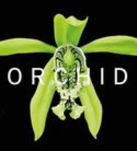 David A. Berry - ORCHID - 2877407152