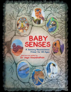 Baby Senses: A Sensory Neuroscience Primer for All Ages - 2878444084