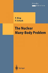 Nuclear Many-Body Problem - 2867129129