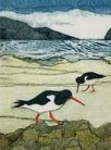 Wild Birds Pocket Notebook: Oystercatcher - 2877304314