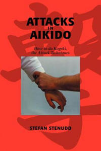 Attacks in Aikido - 2867131229