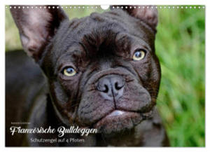 Franzsische Bulldoggen - Schutzengel auf 4 Pfoten (Wandkalender 2024 DIN A3 quer), CALVENDO Monatskalender - 2877639702