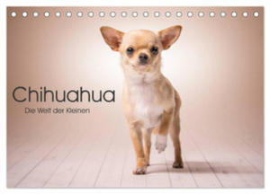 Chihuahua - Die Welt der Kleinen (Tischkalender 2024 DIN A5 quer), CALVENDO Monatskalender - 2877639658
