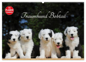 Traumhund Bobtail (Wandkalender 2024 DIN A2 quer), CALVENDO Monatskalender - 2877639657