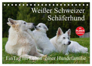 Weier Schweizer Schferhund - Ein Tag im Leben einer Hundefamilie (Tischkalender 2024 DIN A5 quer), CALVENDO Monatskalender - 2877634934