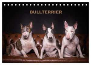 Bullterrier (Tischkalender 2024 DIN A5 quer), CALVENDO Monatskalender - 2877632862