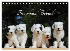 Traumhund Bobtail (Tischkalender 2024 DIN A5 quer), CALVENDO Monatskalender - 2878085104