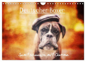 Deutscher Boxer (Wandkalender 2024 DIN A4 quer), CALVENDO Monatskalender - 2877634923