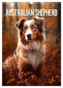 Australian Shepherd (Wandkalender 2024 DIN A3 hoch), CALVENDO Monatskalender - 2877639581