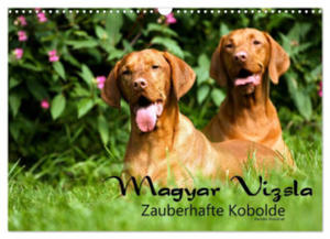 Magyar Vizsla - Zauberhafte Kobolde (Wandkalender 2024 DIN A3 quer), CALVENDO Monatskalender - 2877639561