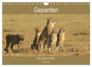 Geparden - Ein Leben in Afrika (Wandkalender 2024 DIN A4 quer), CALVENDO Monatskalender - 2877639558