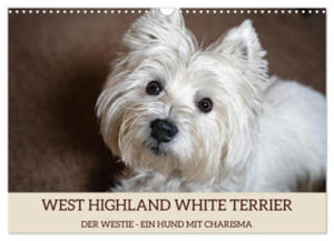 WEST HIGHLAND WHITE TERRIER - DER WESTIE - EIN HUND MIT CHARISMA (Wandkalender 2024 DIN A3 quer), CALVENDO Monatskalender - 2877639526