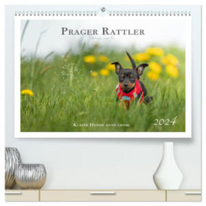 Prager Rattler - Black and Tan - Kleine Hunde ganz gro (hochwertiger Premium Wandkalender 2024 DIN A2 quer), Kunstdruck in Hochglanz - 2877639488