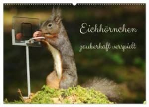 Eichhrnchen - zauberhaft verspielt (Wandkalender 2024 DIN A2 quer), CALVENDO Monatskalender - 2877639421