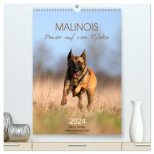 Malinois Power auf vier Pfoten (hochwertiger Premium Wandkalender 2024 DIN A2 hoch), Kunstdruck in Hochglanz - 2877634833