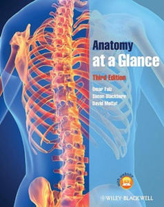 Anatomy at a Glance 3e - 2870303178