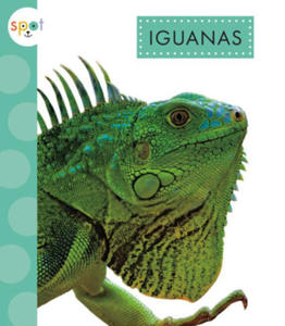 Iguanas - 2877495626