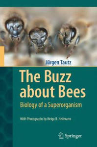 Buzz about Bees - 2871020195