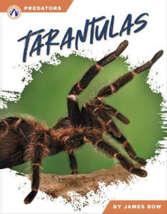 Tarantulas - 2878176666