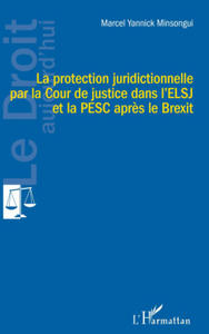 La protection juridictionnelle par la Cour de justice dans l'ELSJ et la PESC apr - 2875912840