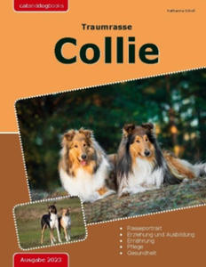 Traumrasse: Collie - 2876546109