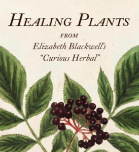 Healing Plants: From Elizabeth Blackwell's a Curious Herbal - 2878625707