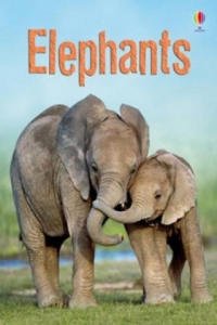 Elephants - 2861960137