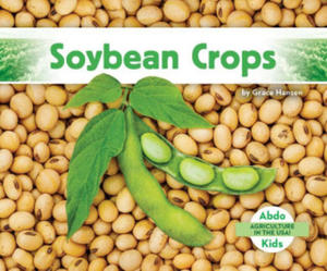 Soybean Crops - 2878315715