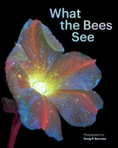 What the Bees See: A Honeybee's Eye View of the World - 2878622393