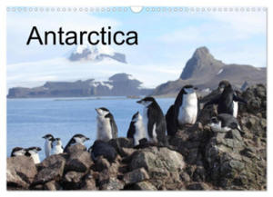 Antarctica (UK - Version) (Wall Calendar 2024 DIN A3 landscape), CALVENDO 12 Month Wall Calendar - 2877610714