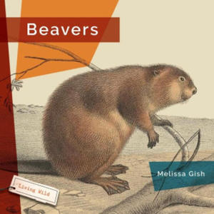 Beavers - 2877521963