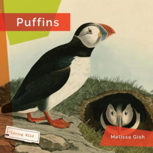 Puffins - 2877871806